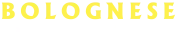 footer_logo